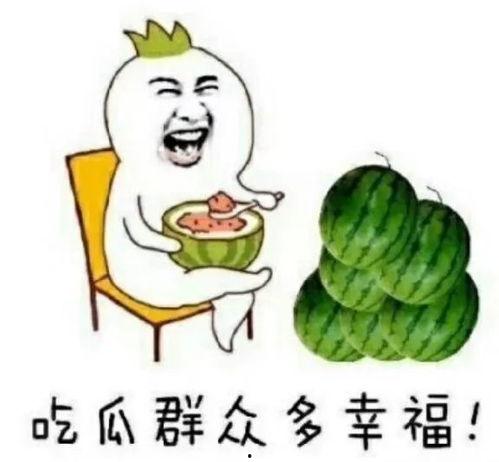 娱乐圈的吃瓜用语